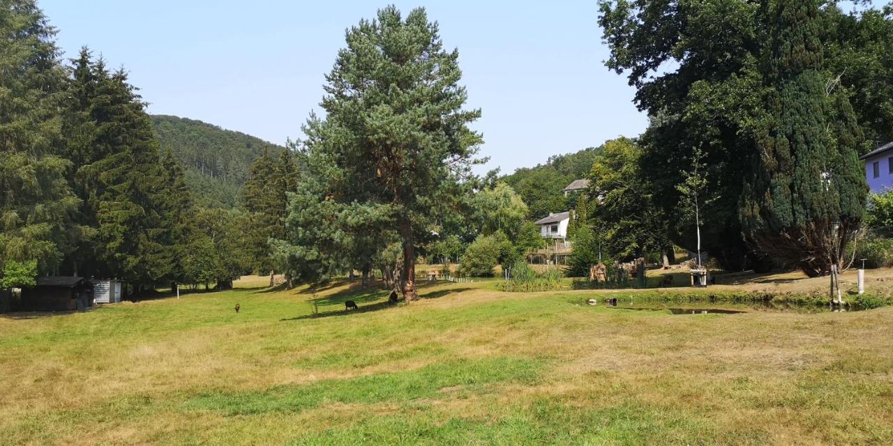 Ferienhaus Kylltal Villa Zemmer Exterior foto